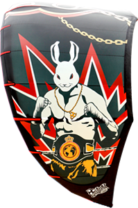 kitesurf kites wainman hawaii Punch 10.5m
